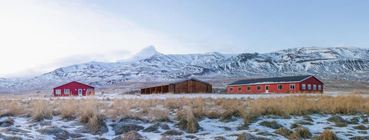 Alfheimar Hotel Borgarfjordur Eystri Exterior foto